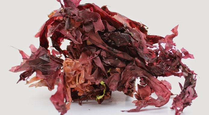dulse