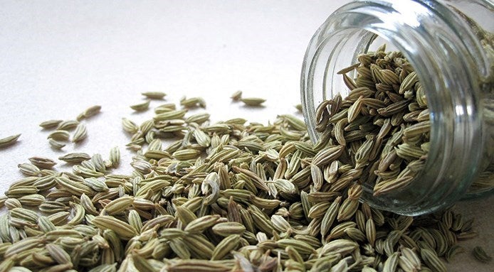 fennel-seeds
