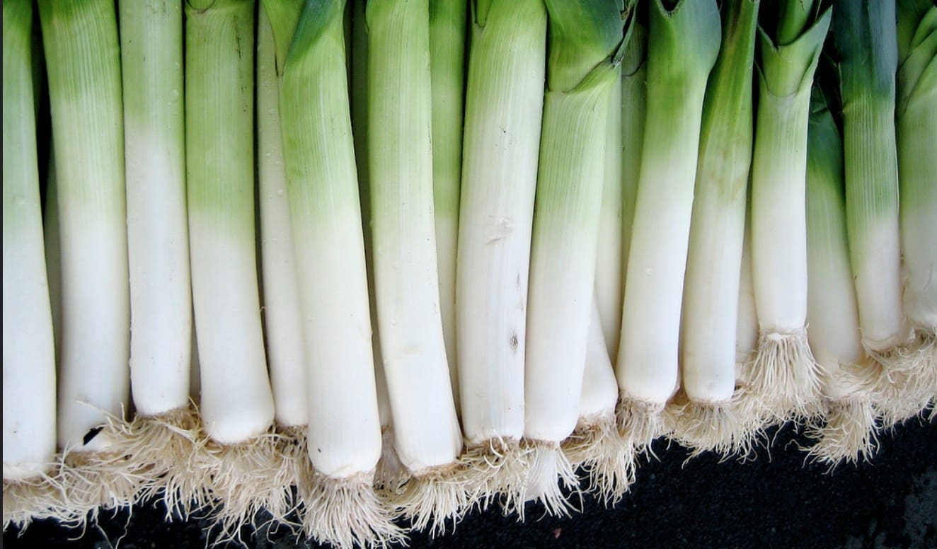 leeks-liz-west leeks-liz-west