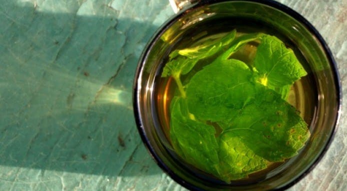 Thymeless Tips | Mint Tea