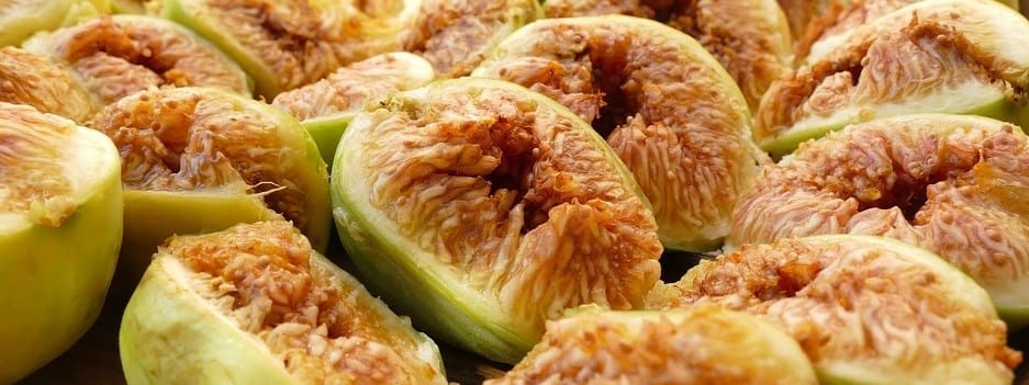 monastery-3422536_960_720