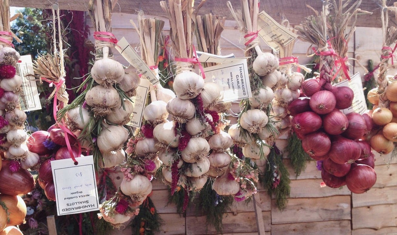 onions-brianne-du-clos onions-brianne-du-clos