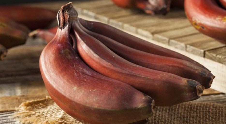 Red Bananas