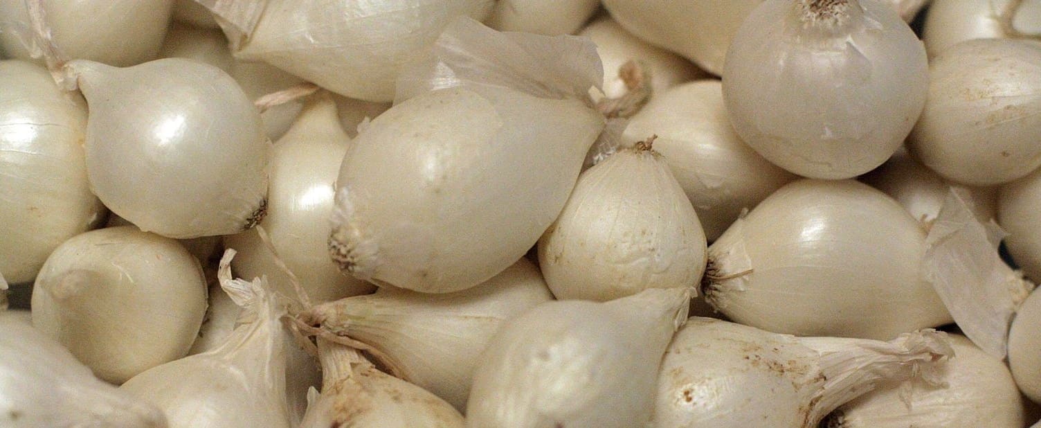 pearl-onions pearl-onions