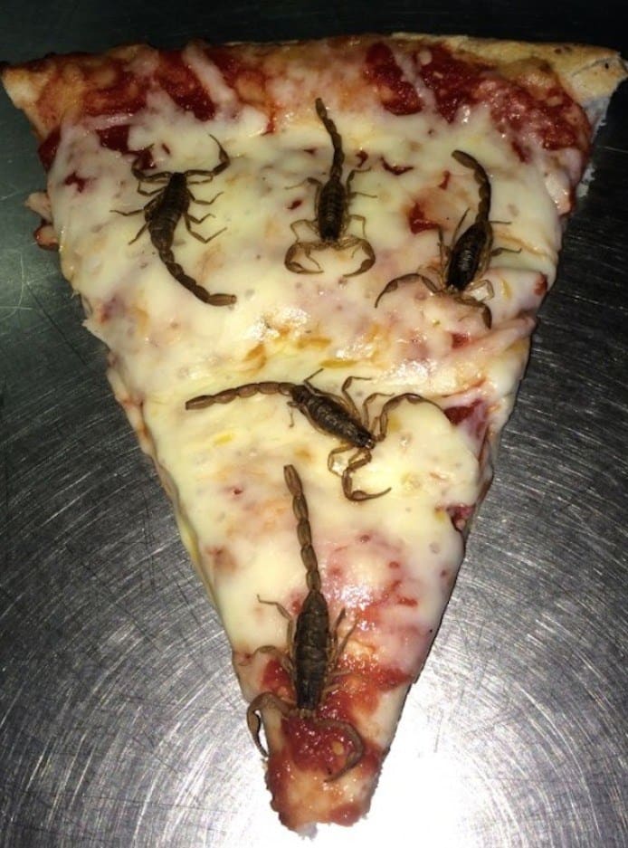 Scorpion Pizza