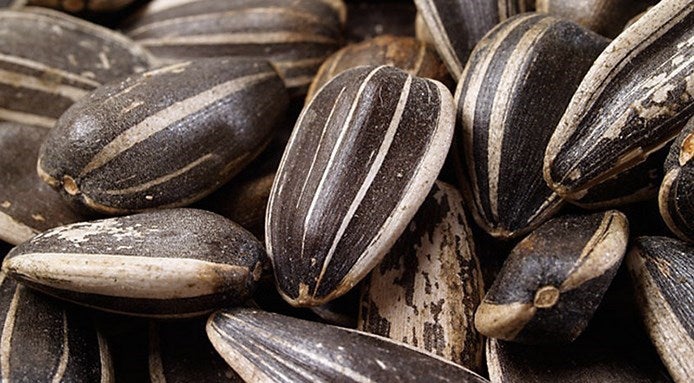 sunflower-seeds