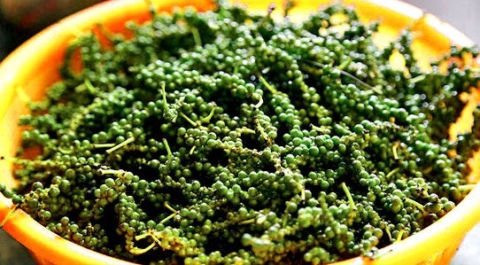 young-green-peppercorns