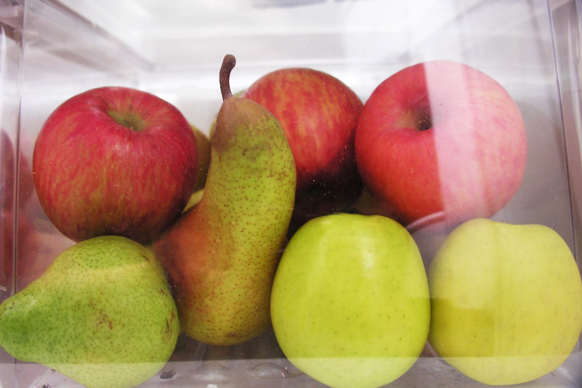 overripe-pears-how-to-store