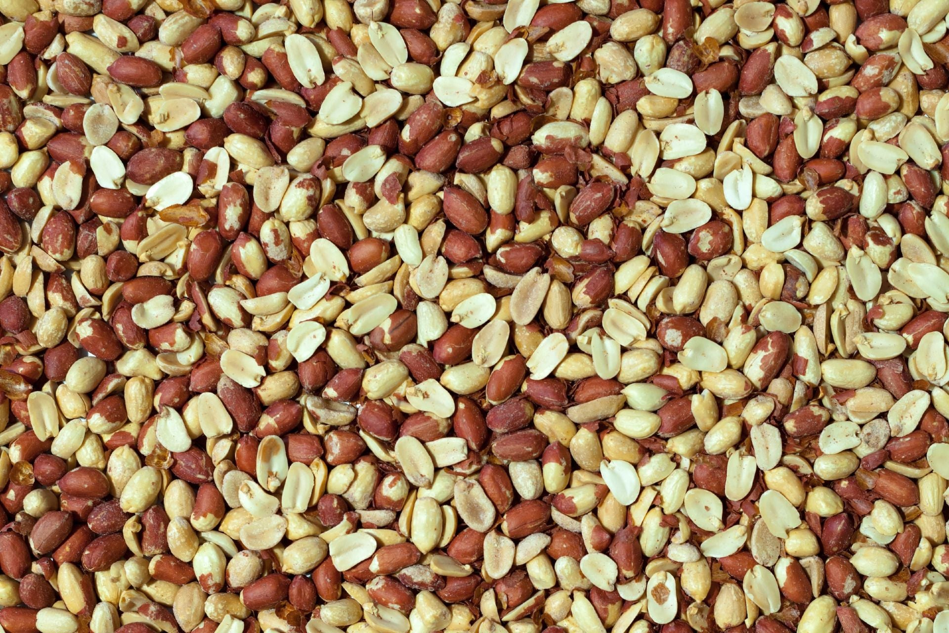 an overhead of shelled peanuts