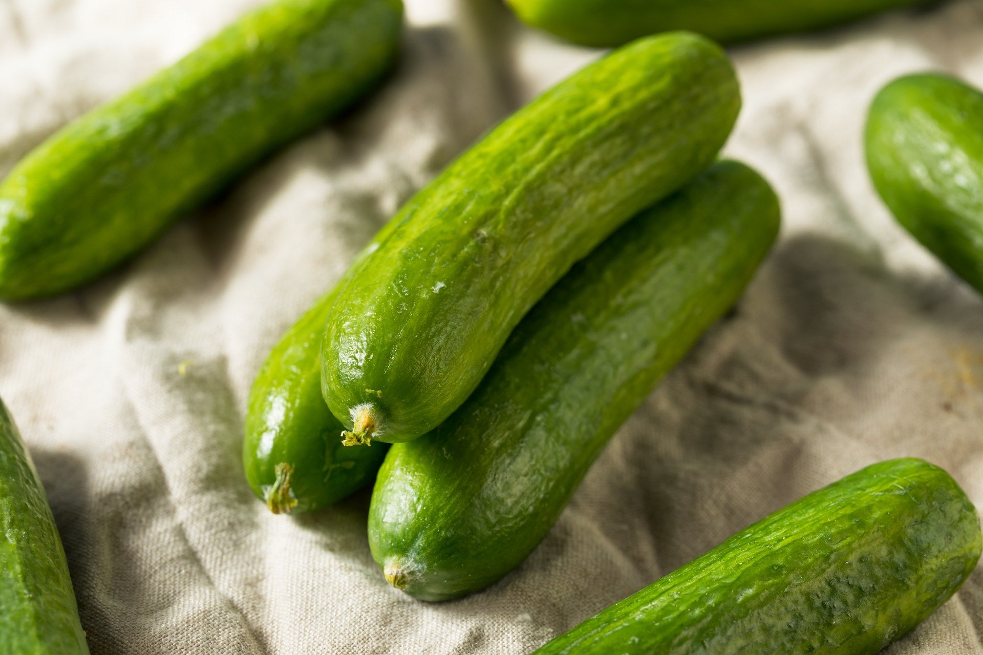 persian-cucumbers-benefits