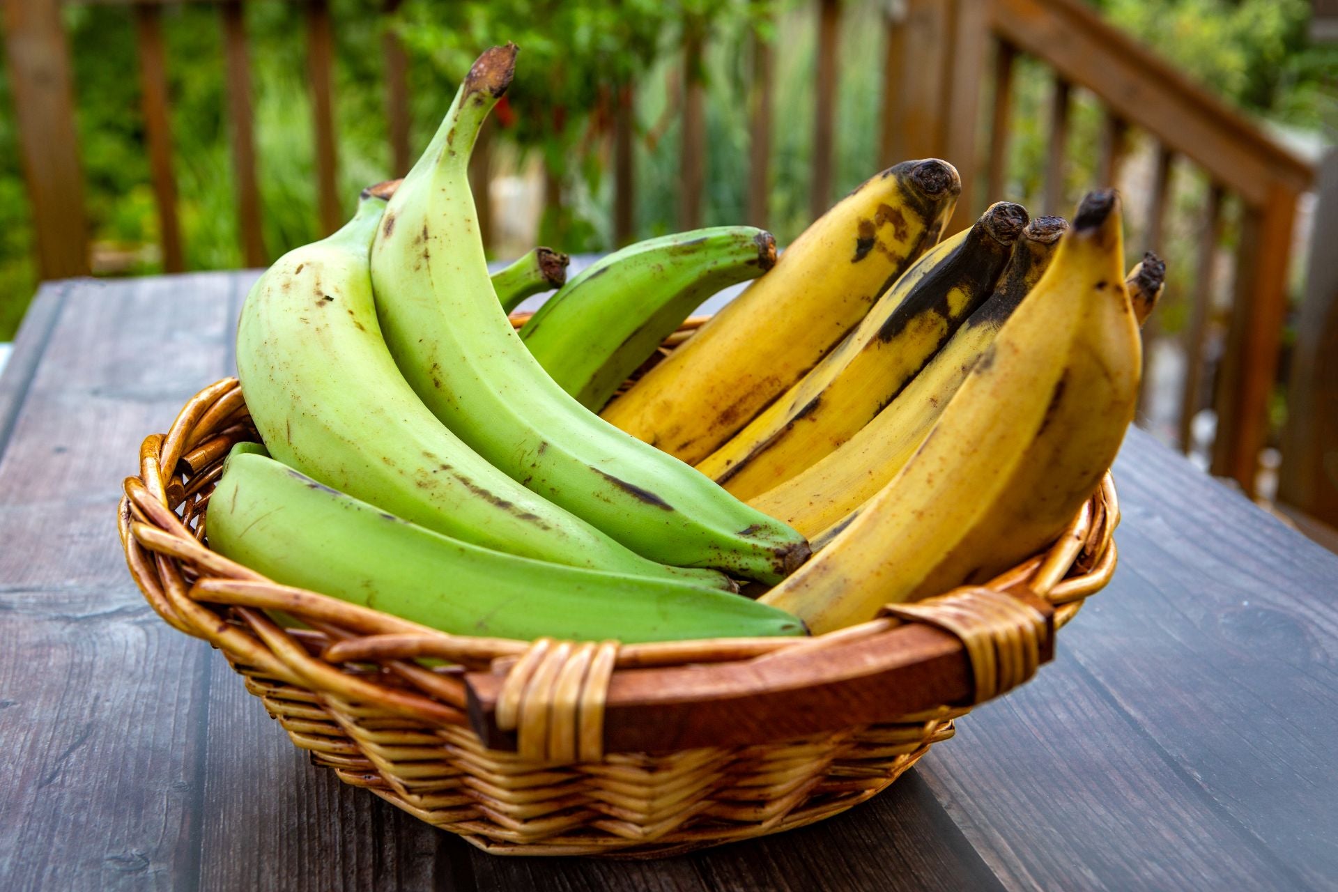plantain-vs-banana-nutrition