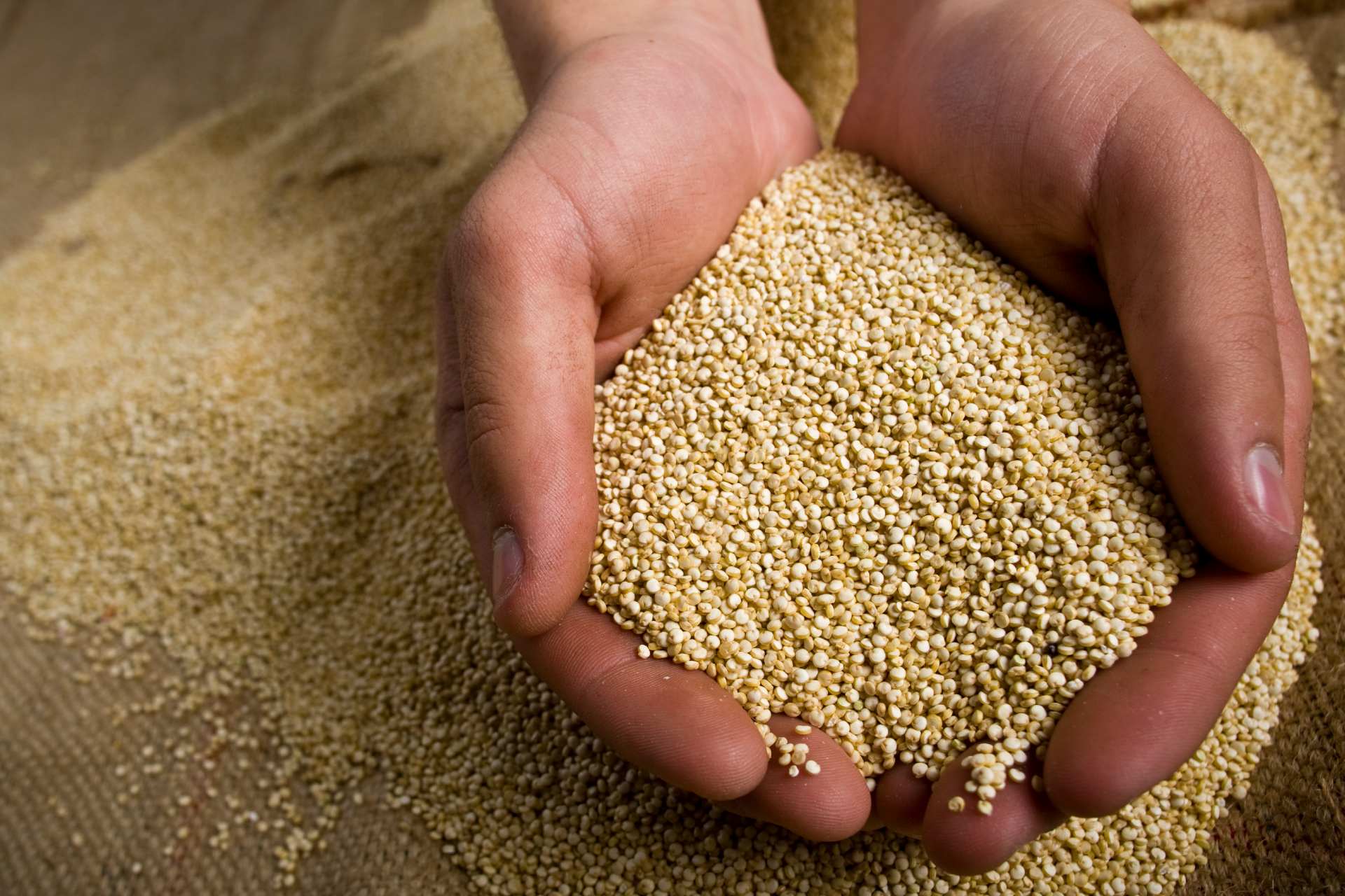 quinoa seeds ©iStock