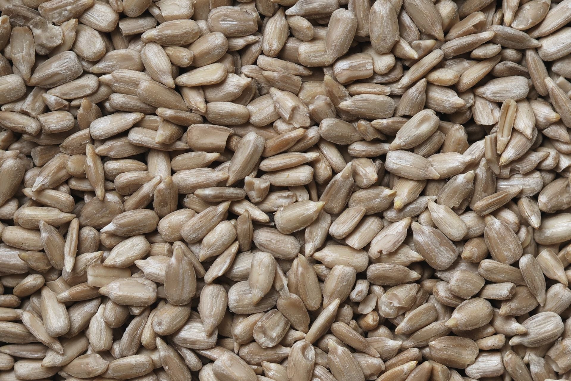 Seeds