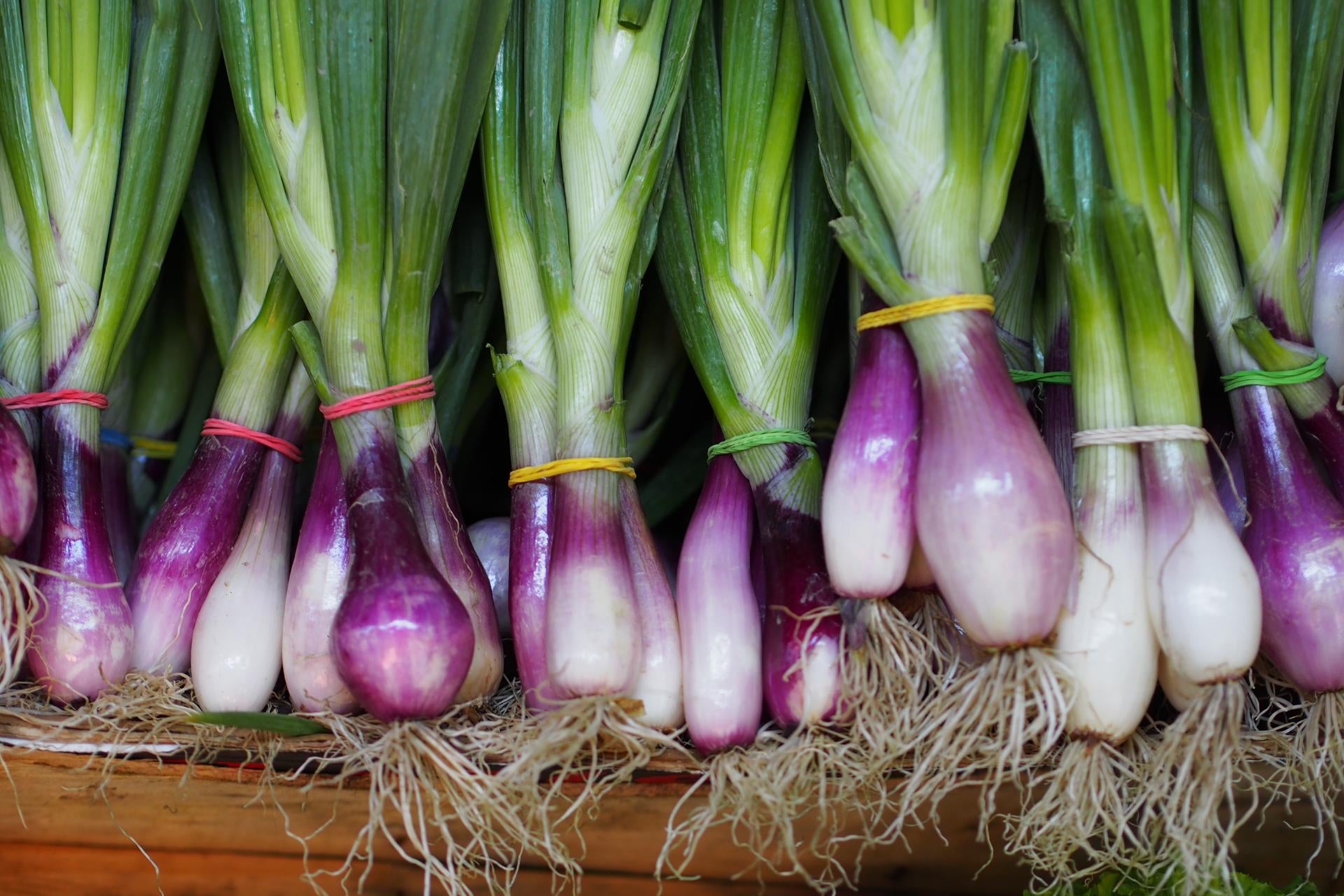 shallots-and-onions-what-are-shallots