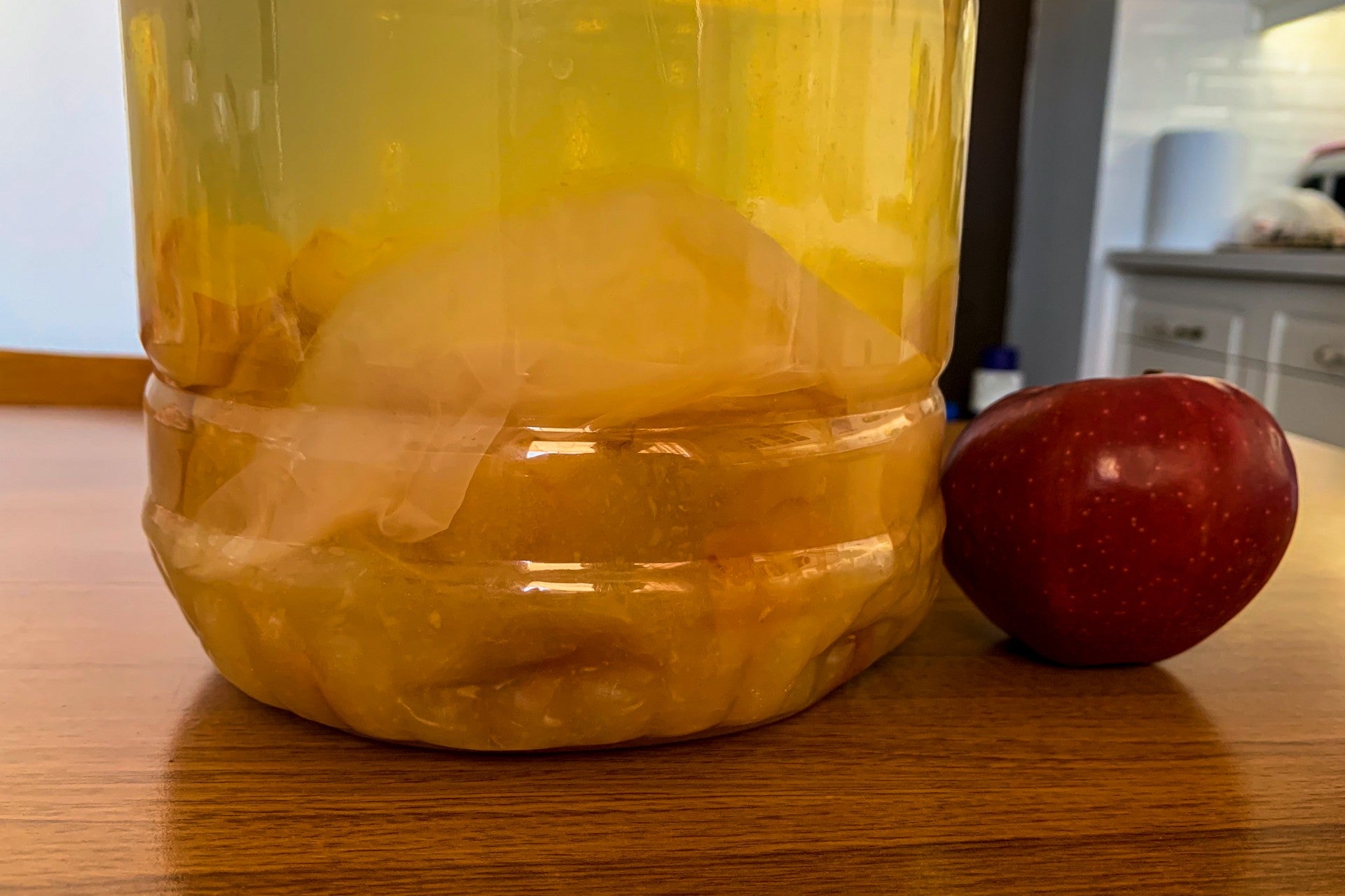 vinegar-mother-tips