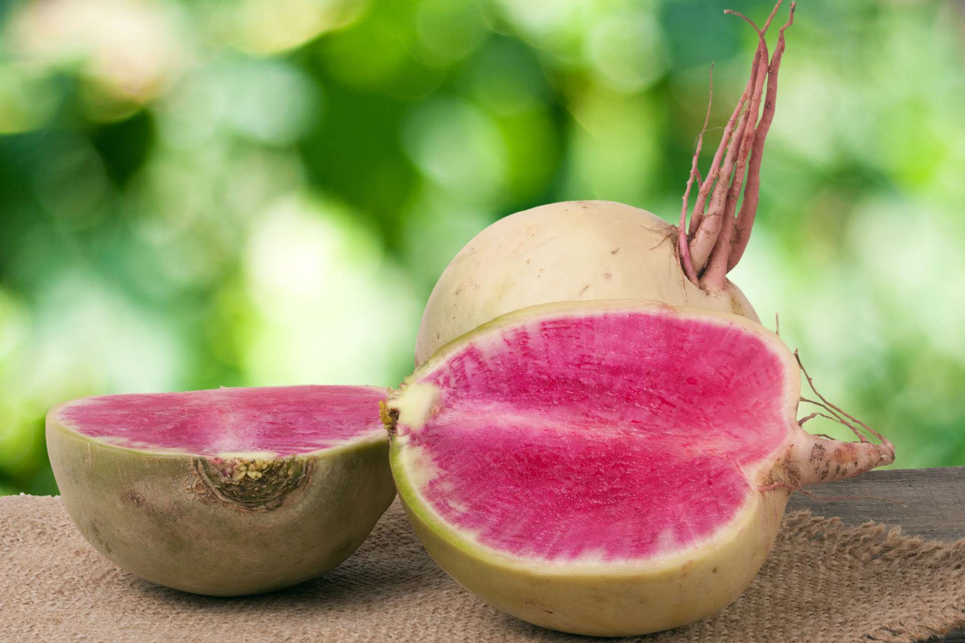 watermelon radish ©iStock