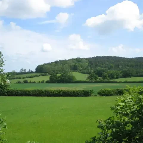 Rolling green fields with hedgerows and a wooded hill under a partly cloudy blue sky