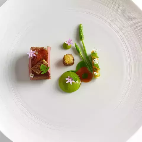 Elegant gourmet dish with seared meat, green purée, asparagus, tiny flowers and artful sauce dots on a minimalist white plate