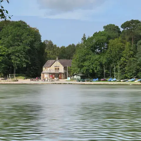 Lakefront café with a sandy beach, playground, and sailboats docked under a canopy of lush green trees on a sunny day.