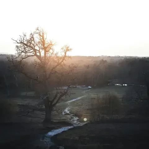 Sunset behind a silhouette of trees, casting a warm glow over the quiet countryside and winding path below