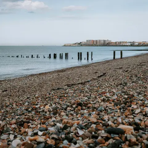 Pebble beach with weathered wooden posts in the water, overlooking distant buildings along the shoreline