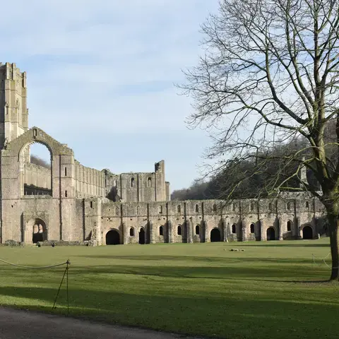 Ruins of a medieval abbey tower over a vast green lawn, framed by leafless trees under a clear sky