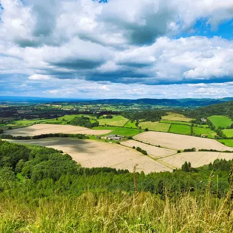 Scenic countryside view with patchwork fields, rolling hills, and lush forests under a vibrant sky with scattered clouds