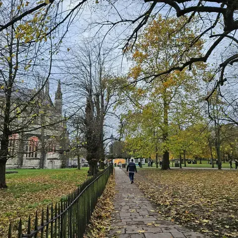 Pathway lined with autumn leaves and tall trees, leading to a historic church under a cloudy sky in a tranquil park setting