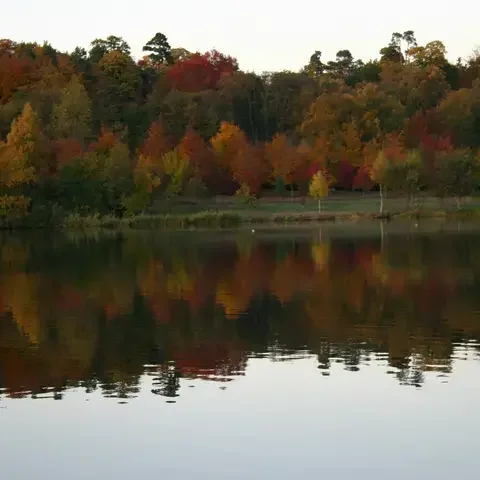Autumn trees reflecting on a calm lake, showcasing vibrant red, orange, and yellow hues under a clear sky.