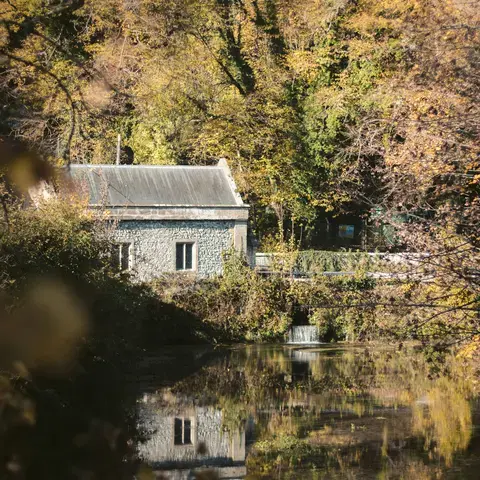 A quaint stone cottage reflects in a tranquil autumn river, surrounded by golden-leafed trees under soft sunlight