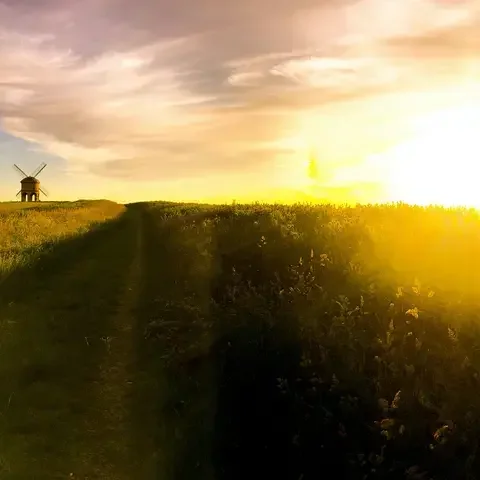 A golden sunset bathes a rural path and fields in warm light, leading to a historic windmill under a glowing sky