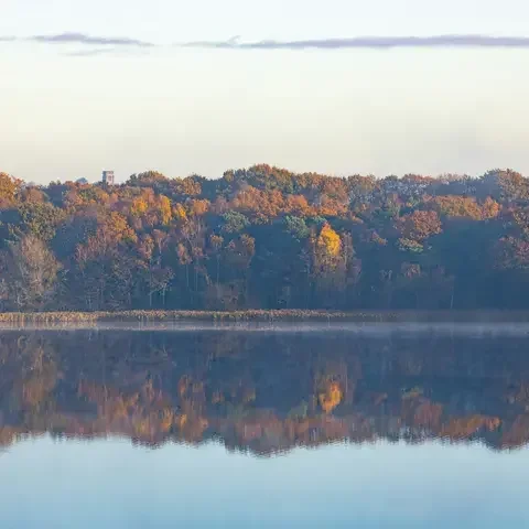 A serene autumn forest reflected in a still lake, showcasing vibrant orange, yellow, and green hues under a soft morning sky.