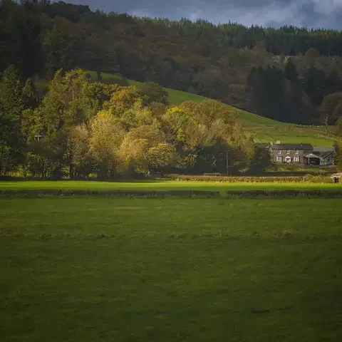 Sunlit countryside landscape with a rustic house surrounded by autumn trees and green rolling hills under cloudy skies.