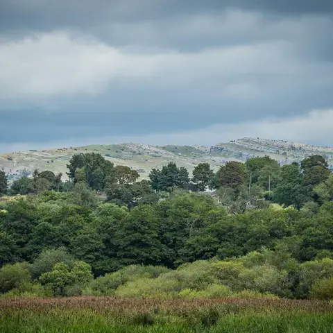 Verdant trees and bushes stretch across the landscape, with rocky hills in the distance under a cloudy blue sky