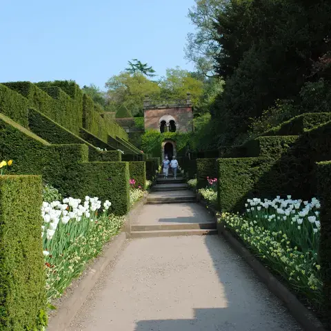 Pathway through manicured hedges and vibrant tulips leading to a historic brick building, surrounded by lush greenery