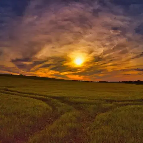 Vibrant sunset over a vast grassy field with streaks of orange, purple, and yellow sky blending into the horizon