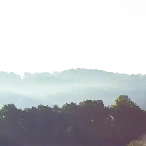 Morning mist blankets a golden field, with soft sunlight illuminating a forested hillside in the distance
