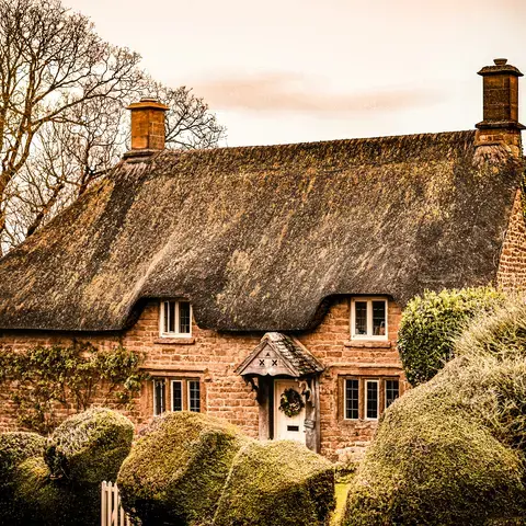 Charming thatched cottage with ivy-covered walls, manicured bushes, and bare trees, bathed in warm sunset light