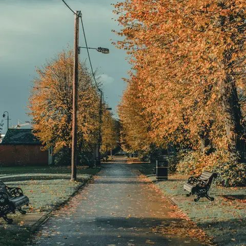 Tree-lined park path with autumn leaves, wooden benches, and a cloudy sky casting a golden light