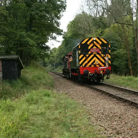 A heritage train adorned in bright yellow and black stripes travels through a lush, green woodland on a peaceful rural track