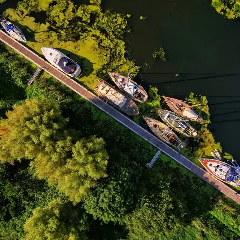 Top-down view of boats docked along a narrow pier surrounded by lush greenery and water covered in green algae