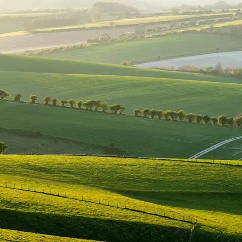 Rolling green fields with trees and paths, softly lit by golden sunlight under a hazy sky