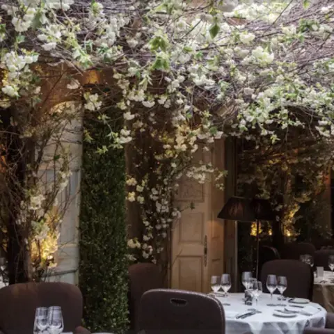 Clos Maggiore French Restaurant Clos Maggiore French Restaurant