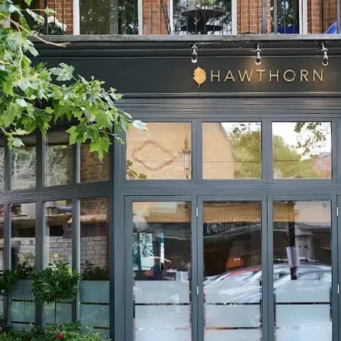 Hawthorn Hawthorn