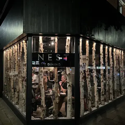 Nest Newcastle Nest Newcastle