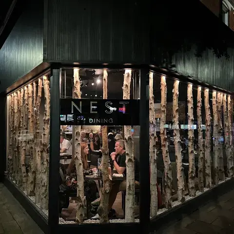Nest Newcastle Nest Newcastle