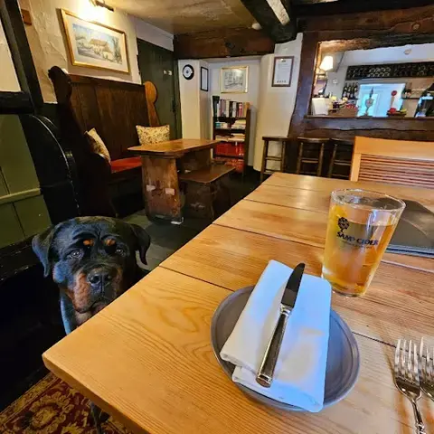 The Masons Arms, Knowstone The Masons Arms, Knowstone