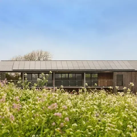 Trevibban Mill Vineyard