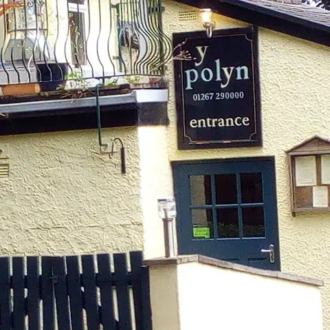 Y Polyn Y Polyn