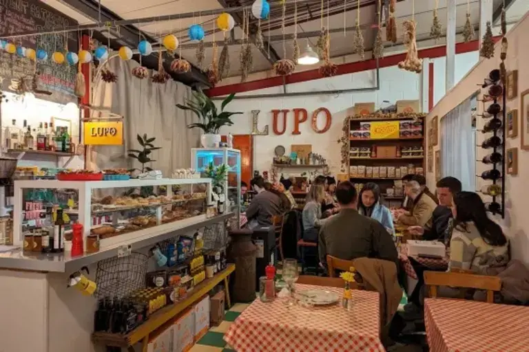 Lupo in Manchester